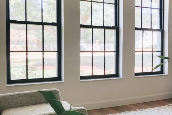 Window and door frames