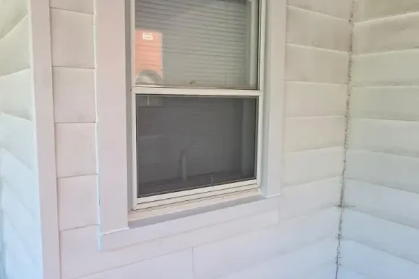 windows2